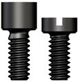 Lab Bridge Screw, hex and slot